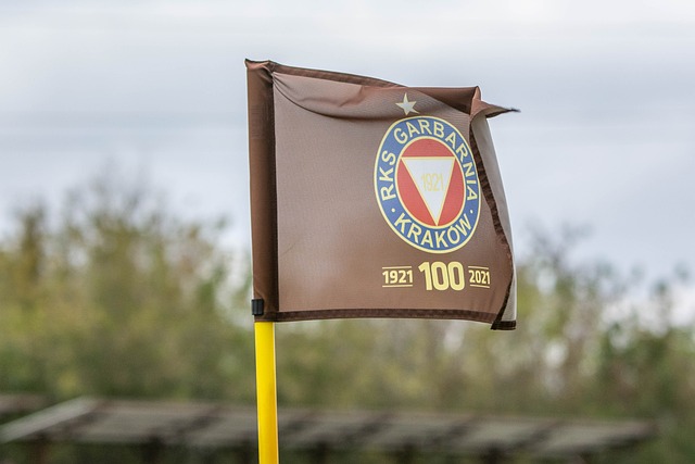 提升了用户 提升了用户