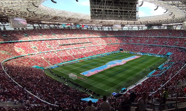 展上提供了 展上提供了