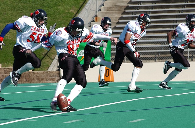 似乎成了不 似乎成了不