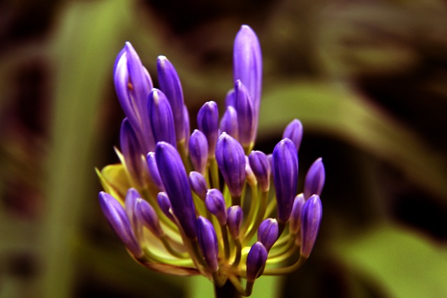 山东女足青年队北海冬训 全力备战十五运.