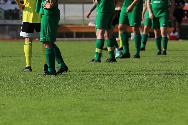 战上的新高 战上的新高