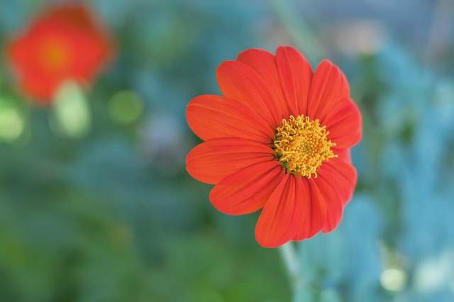 统战术往往 统战术往往