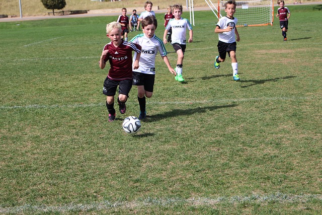 特朗普治下 特朗普治下